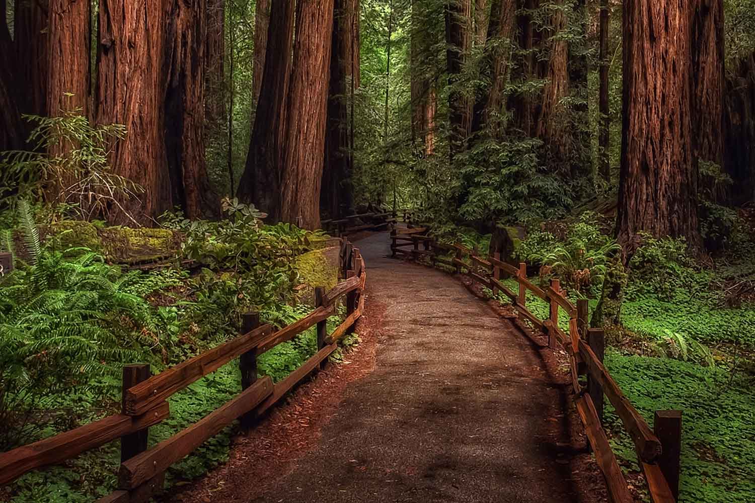 Endless Path-CP112.jpg